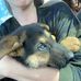 Crystal Evanson - Facebook