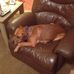 Crystal Estes - Facebook