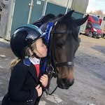 crystal farmer - @crystal.showjumper.eventer - Instagram