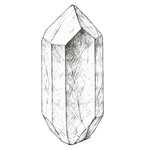 The Crystal Forestry Project - @crystalforestry - Instagram