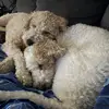 crystalgallagher7 - @crystal.g378 - TikTok