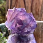 Crystal Allies Gallery - @crystalallies_gallery - Instagram