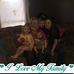 Crystal Gaskins - Facebook