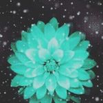 Crystal_Gilmore - @crystal_gilmore13 - Instagram