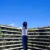 Crystal Glaze - @tala.rys - TikTok