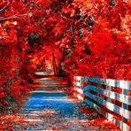 Crystal Groves - Facebook