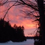 Crystal Groves - @crystal.groves.50 - Instagram