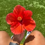 Crystal Harrison - @crystalharrison2334 - Instagram