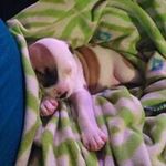 Crystal Havens - @cghavensmomma - Instagram