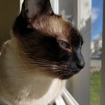 Crystal Helms - @cghelmskit_elovah - Instagram