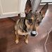 Crystal Lee Henkel - Facebook
