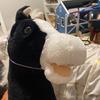 user3215699638630 - @crystalhobbyhorses - TikTok
