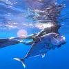 CrystalHook Spear Fishing - @crystalhook_spearfishing - TikTok