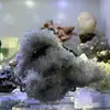 Crystal warehouse - @crystalwarehousemerry - TikTok