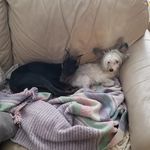 Crystal Jorgensen - @willefor - Instagram