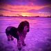 Crystal Jorgensen Nielsen - Facebook