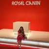 crystaljorgensen07 - @crystaljorgensen07 - TikTok