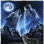 Crystal Kings - Facebook