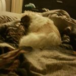 Crystal Lynn Barnhart - @crystallanger - Instagram