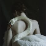 C - @crystalleelucas - Instagram