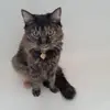 Crystal Lloyd - @crystal.lloyd7 - TikTok