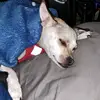 Crystal Lovett - @crystallovett0 - TikTok