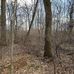 Crystal Lake Park Mansfield New Jersey - Facebook