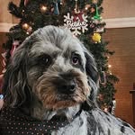 Crystal Terry Marks - @cterry5230 - Instagram