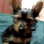 Crystal Smith Mayo - @crystal.mayo - Instagram