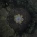 Crystal Palace park maze - Facebook