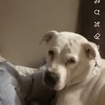 Crystal McCarthy - Facebook