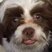 Crystal McClain - Facebook