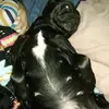 Crystal McGuire - @crystal.mcguire3 - TikTok