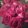 crystalmickens938 - @crystalmickens938 - TikTok