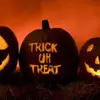 crystal_milo - @days.ontill.halloween - TikTok