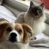 milo and crystal - @x.miloxcrystalsz.world.x - TikTok