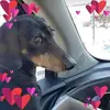 crystalmueller770 - @crystalmueller770 - TikTok