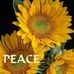 Crystal Nance - Facebook