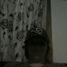 Crystal Newbold - Facebook