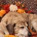 Crystal Nuthall - Facebook