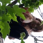 Crystal Palmer - @crystal.palmer222 - Instagram