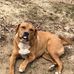 Crystal Perdue - Facebook