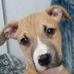 Crystal Bueckert - Facebook