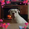 Crystal Porter195 - @crystalporter8441 - TikTok