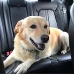 Crystal K Puckett - @crystal_puckett - Instagram