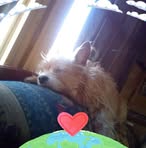 Crystal Puckett - Facebook
