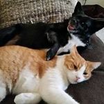Crystal Puckett - @puckett.crystal - Instagram