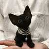 redferncrystals - @redferncrystals3 - TikTok