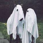 Crystal Roach - @woodland_royalty - Instagram