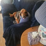 Crystal Robbins - @dragonlady3013 - Instagram